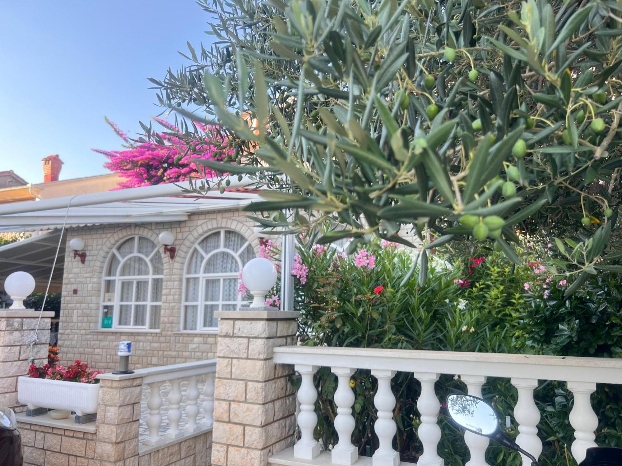 Bed & Breakfast Rab Palit Exterior foto